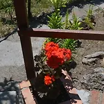 Country Casa Mazzoni Otel Roccastrada