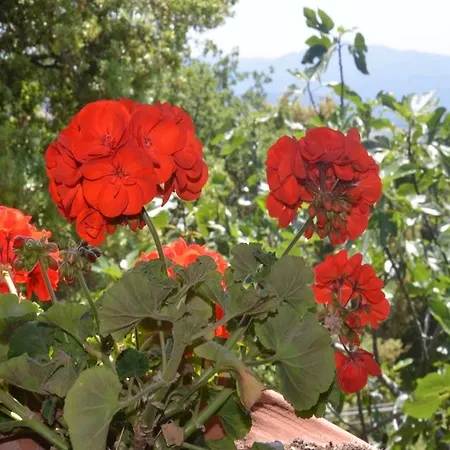 Hotel Country Casa Mazzoni