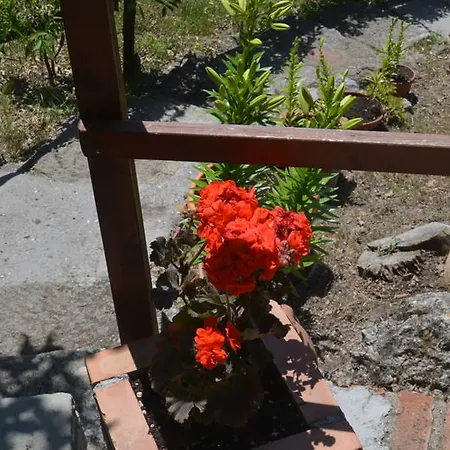 Country Casa Mazzoni Inn Roccastrada